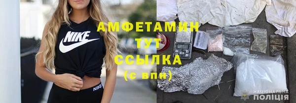 шишки Алексин