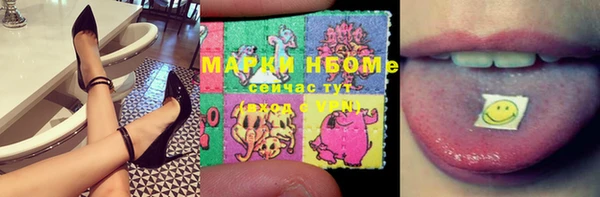 шишки Алексин