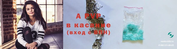 шишки Алексин