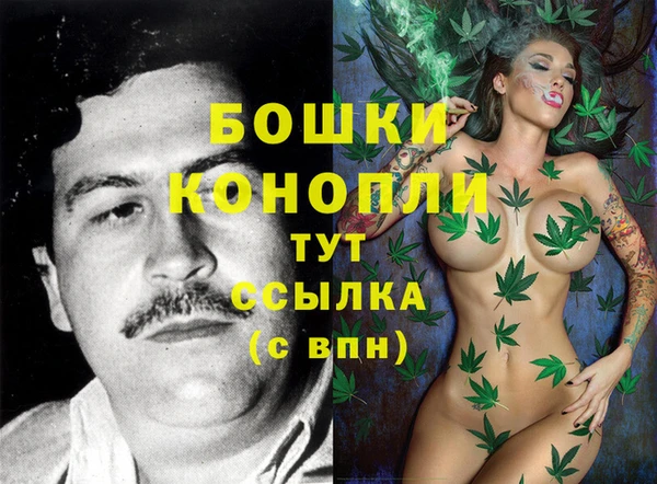 шишки Алексин