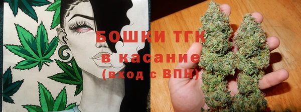 дурь Алзамай