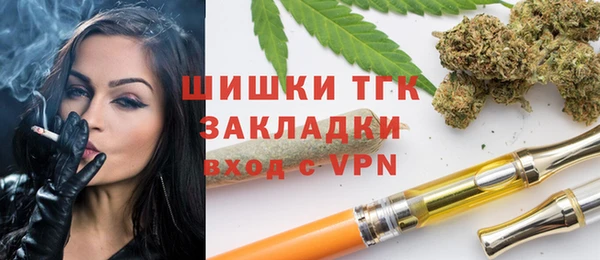 шишки Алексин