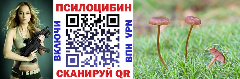 Галлюциногенные грибы Magic Shrooms  где продают   Грязовец 